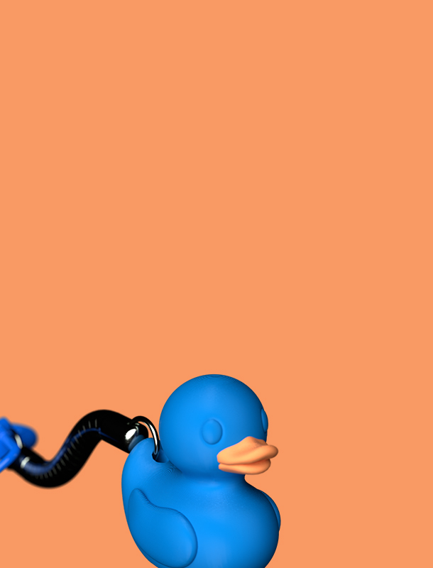 rubberduck_feature